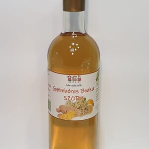 gyömbéres bodzaszörp